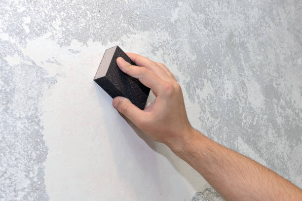Forensic Mold Investigation in Esperance, WA
