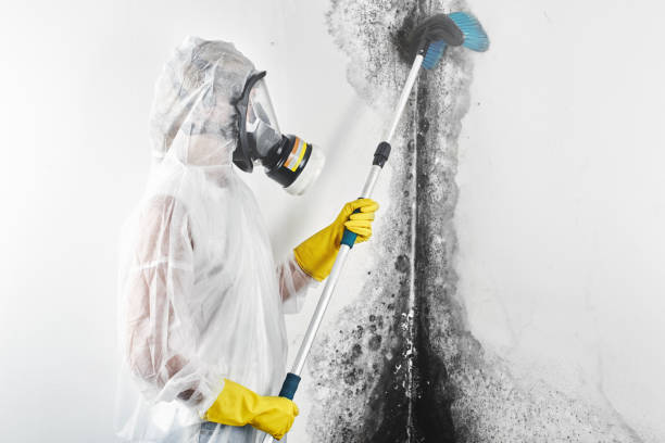 Best Crawl Space Mold Remediation  in Esperance, WA