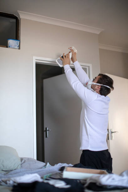 Mold Odor Removal Services in Esperance, WA