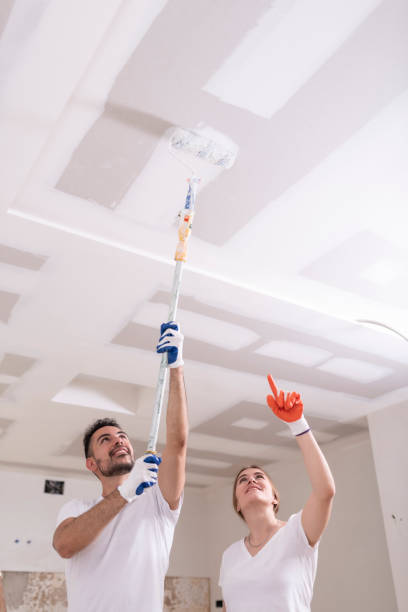 Best Mold Odor Removal Services  in Esperance, WA